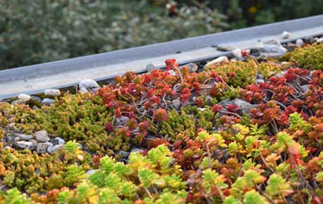 the cost of Yokefleet green roof installation
