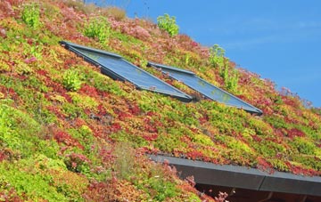 Yokefleet living roof systems